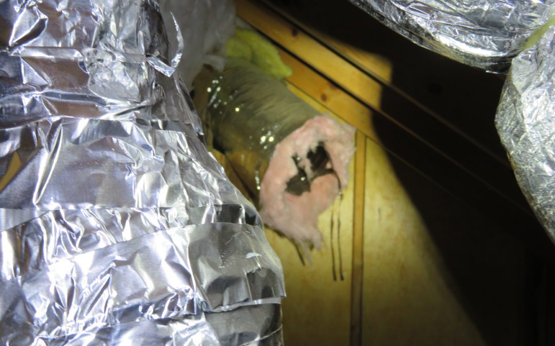 Tips for Inspecting Your Home to Avoid Hidden Problems