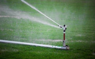 Proactive Care for Your Sprinkler System: An Easy Step to Avoid Costly Repairs
