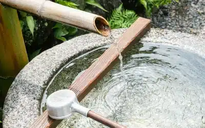 Well Water Wisdom: Equipping Homeowners with Confidence in Their Water Supply