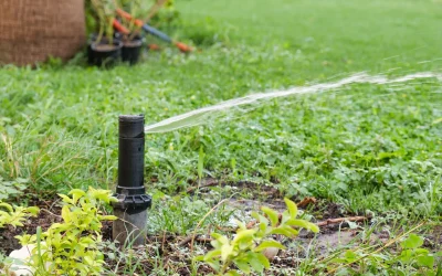 Top Signs to Watch for When Checking a Sprinkler System: What You Need to Know