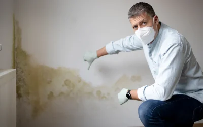 Do Home Inspectors Check for Mold? What You Need to Know