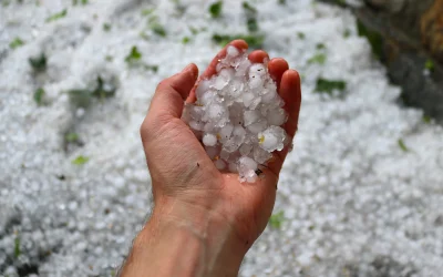 Why Roof Hail Damage Inspection After Hail Storm Is Essential