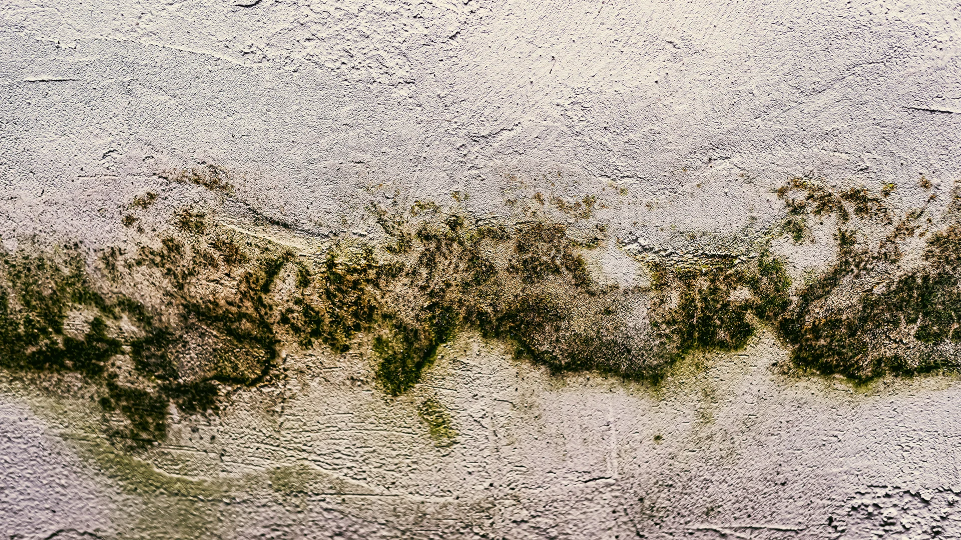 wall texture pattern